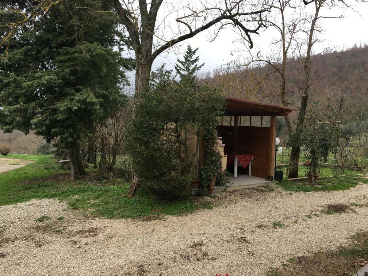 הוילה Mercatale  Agriturismo Vista Sole מראה חיצוני תמונה
