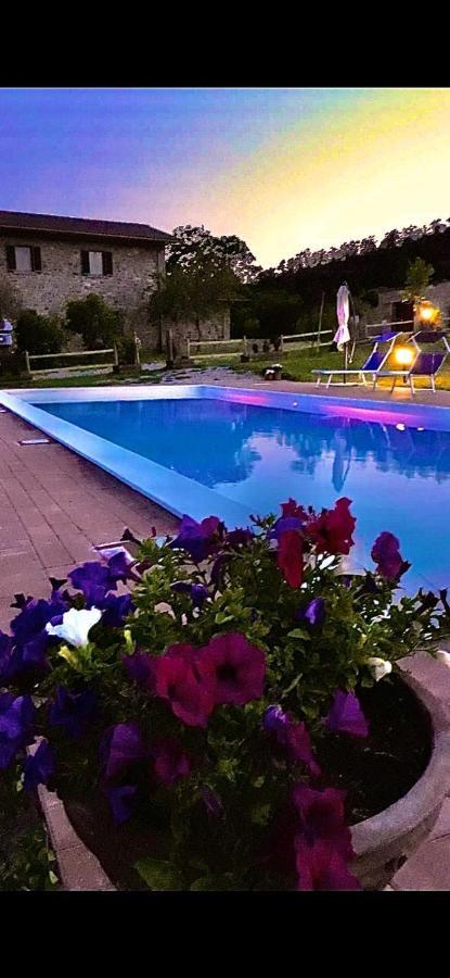 הוילה Mercatale  Agriturismo Vista Sole מראה חיצוני תמונה