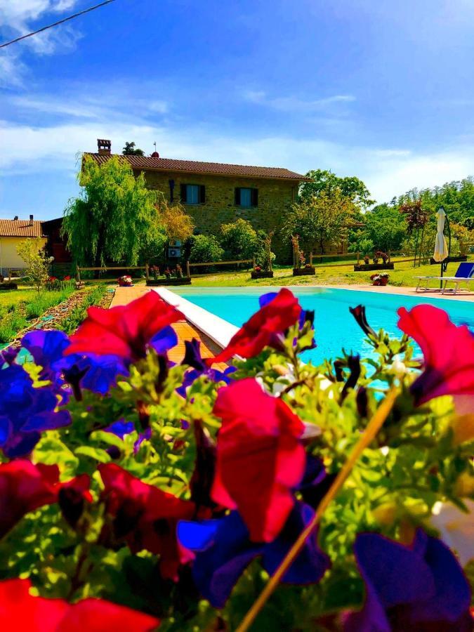 הוילה Mercatale  Agriturismo Vista Sole מראה חיצוני תמונה